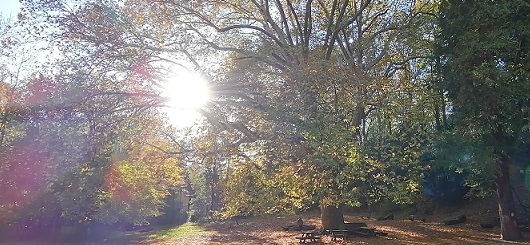 Die Wahrheit des SEGENS - 1